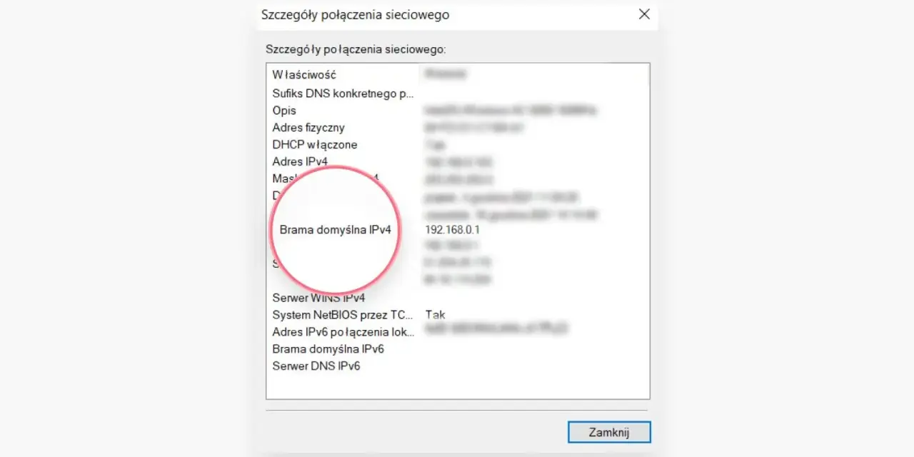 Szczegóły połączenia sieciowego: Brama domyślna IPv4 to adres IP routera 192.168.0.1.
