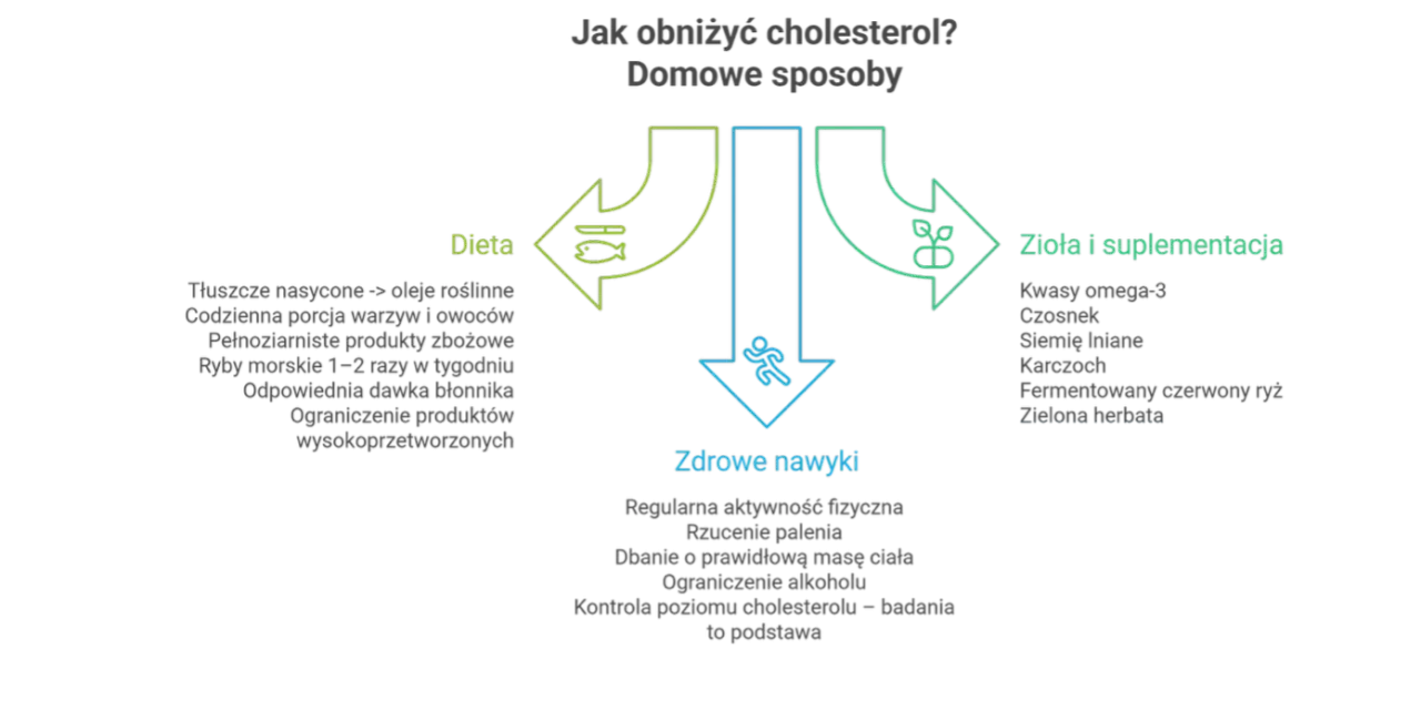 Jak obniżyć cholesterol? Schemat pokazuje dietę, zdrowe nawyki i zioła/suplementy.