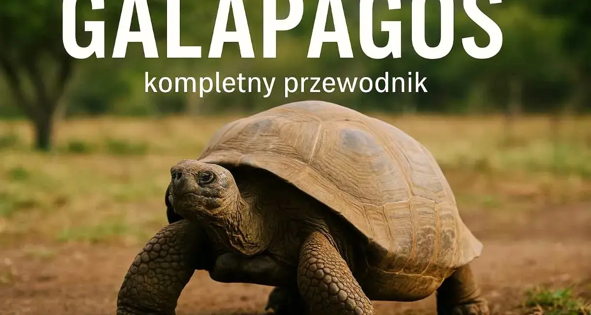 Galapagos: przewodnik po świecie gigantycznych żółwi. Ten potężny gad przemierza wyspy, będąc żywym symbolem tego niezwykłego miejsca.