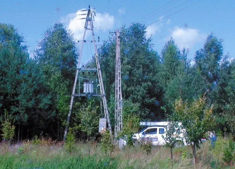 PGE wycinka drzew gdzie zgłosić - uniknij problemów z pozwoleniem