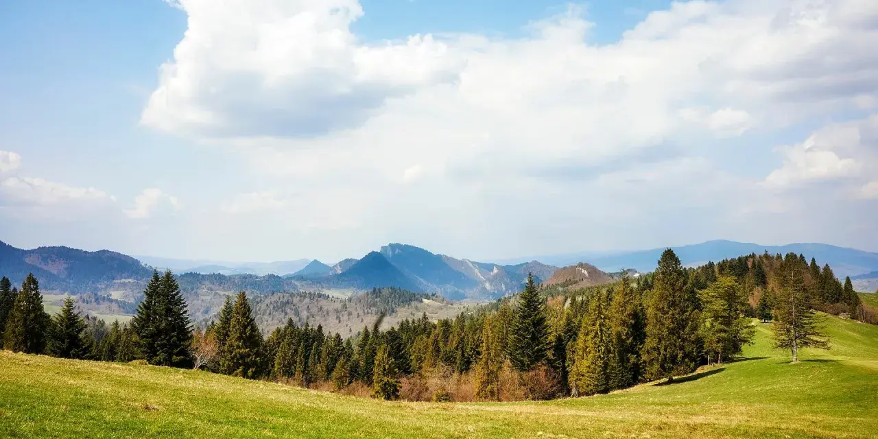Zielona łąka schodzi ku lasowi, za którym widać pasmo górskie. To najbliższe góry od łodzi, które widać na horyzoncie.