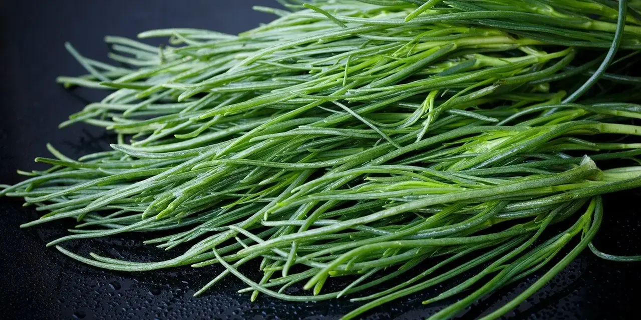 Un fascio di agretti freschi, pronti per essere cucinati, simbolo della loro stagione.