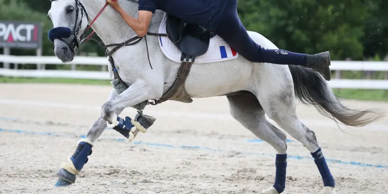 Un cavalier français sur un cheval gris en plein effort, symbolisant la passion et le dynamisme de l'équitation en France, reflétant le nombre licenciés équitation France.