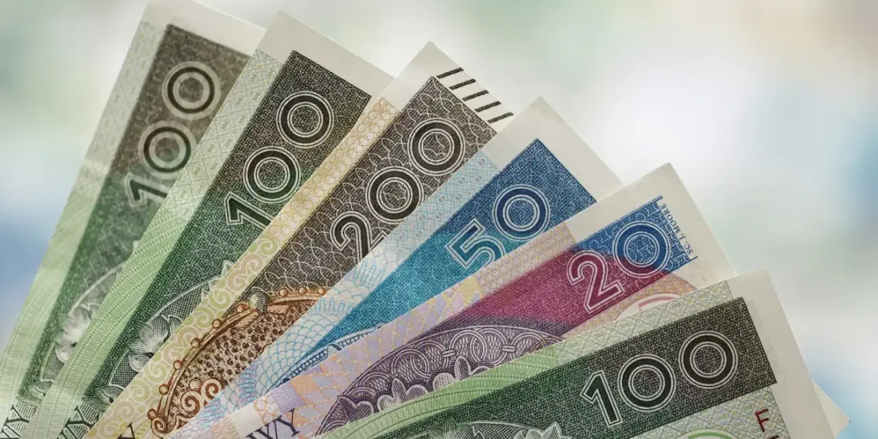 Różne nominały polskich banknotów ułożone wachlarzowo. Zastanawiasz się, ile wynosi świadczenie pielęgnacyjne?