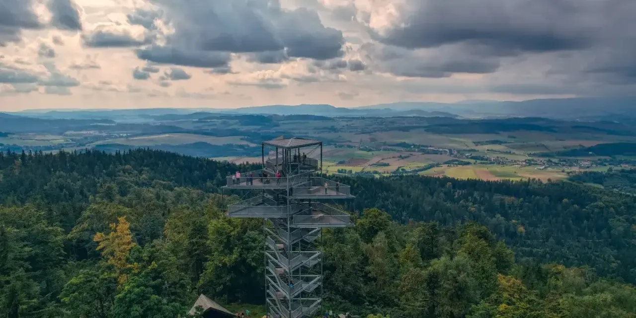 Nowoczesna trójgarb wieża widokowa góruje nad lasem, oferując zapierający dech w piersiach widok na pagórkowaty krajobraz.