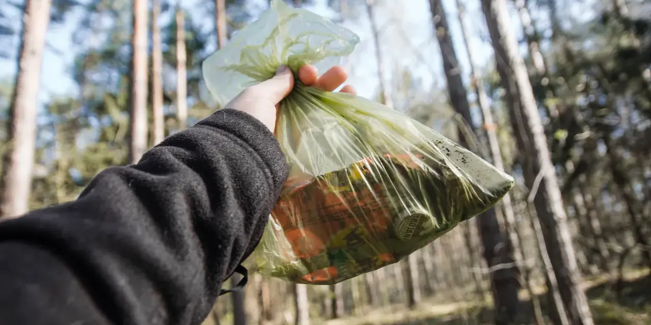 Ręka trzyma worek ze śmieciami w lesie. Zasady "leave no trace" to dbanie o przyrodę.