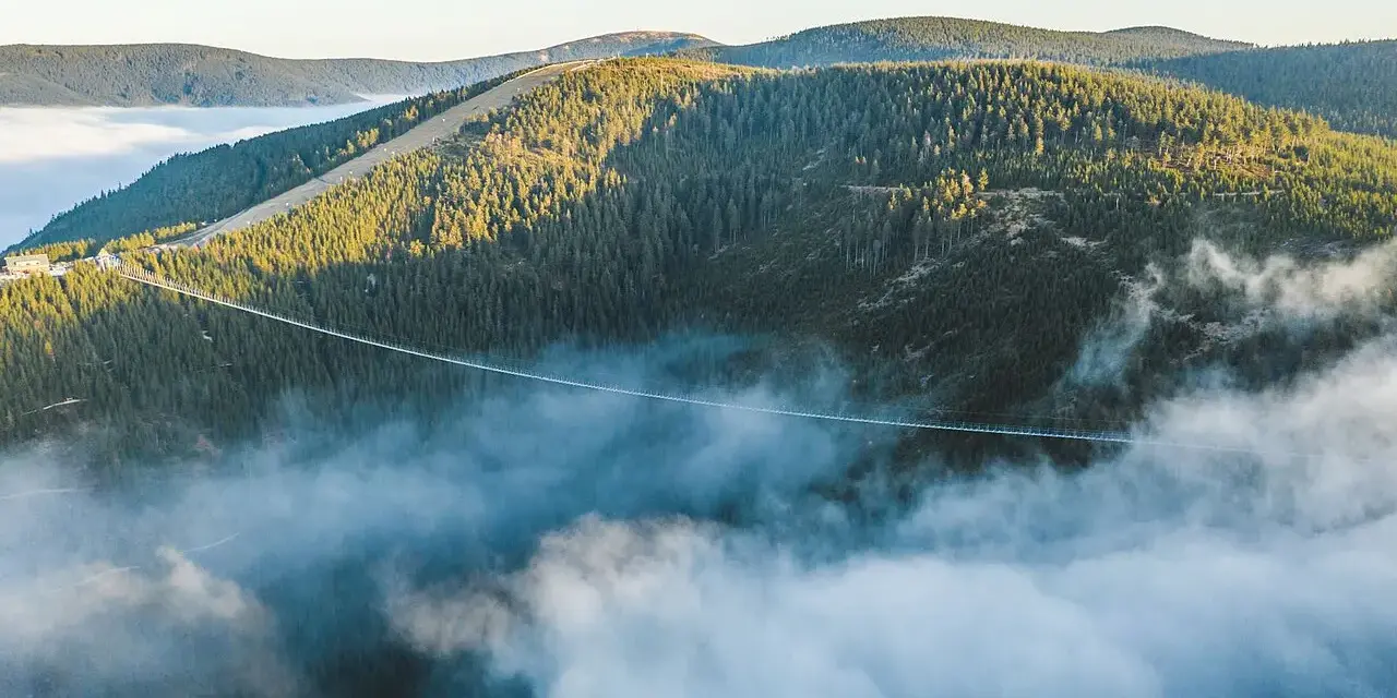 Most wiszący w Dolní Moravě przecina gęsty las, unosząc się nad morzem mgieł.
