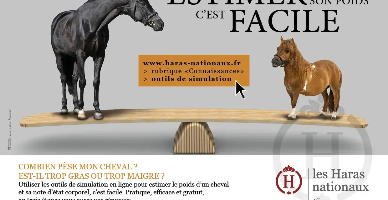Un grand cheval noir et un petit poney brun sont sur une balance. Estimer le poids cheval est facile avec les outils en ligne des Haras Nationaux.