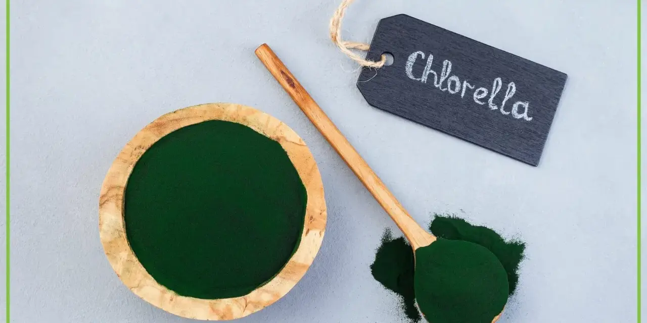Chlorella w proszku w drewnianej miseczce i na łyżce. Tabliczka z napisem "Chlorella" podpowiada, jak stosować ten zielony proszek.