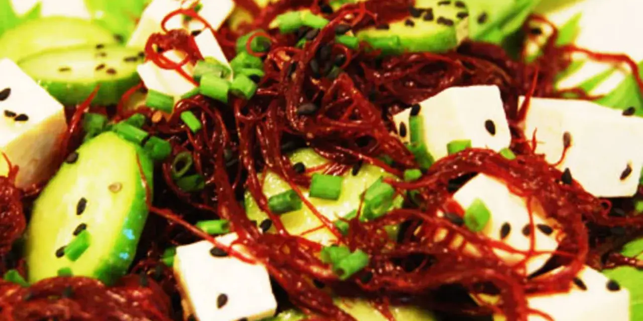 Salade fraîche avec des cubes de tofu, des rondelles de concombre, des oignons verts et une généreuse portion d'algue rouge séchée.