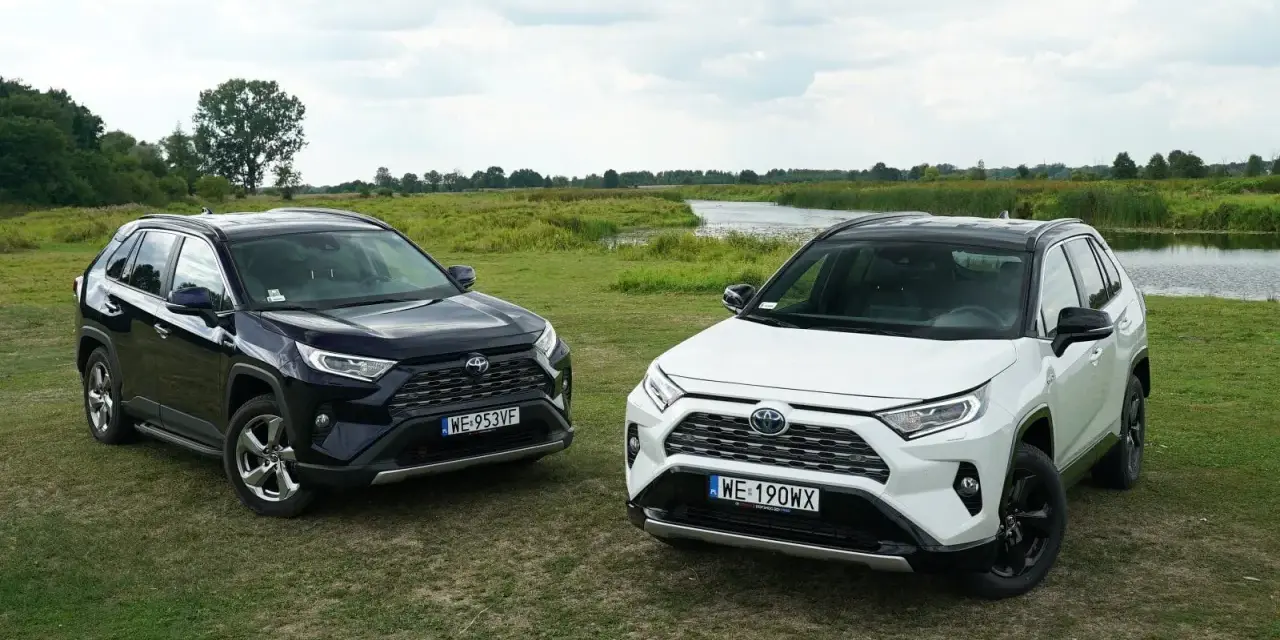 Dwa SUV-y: ciemny i biały Toyota RAV4 hybryda, stoją na łące nad jeziorem.