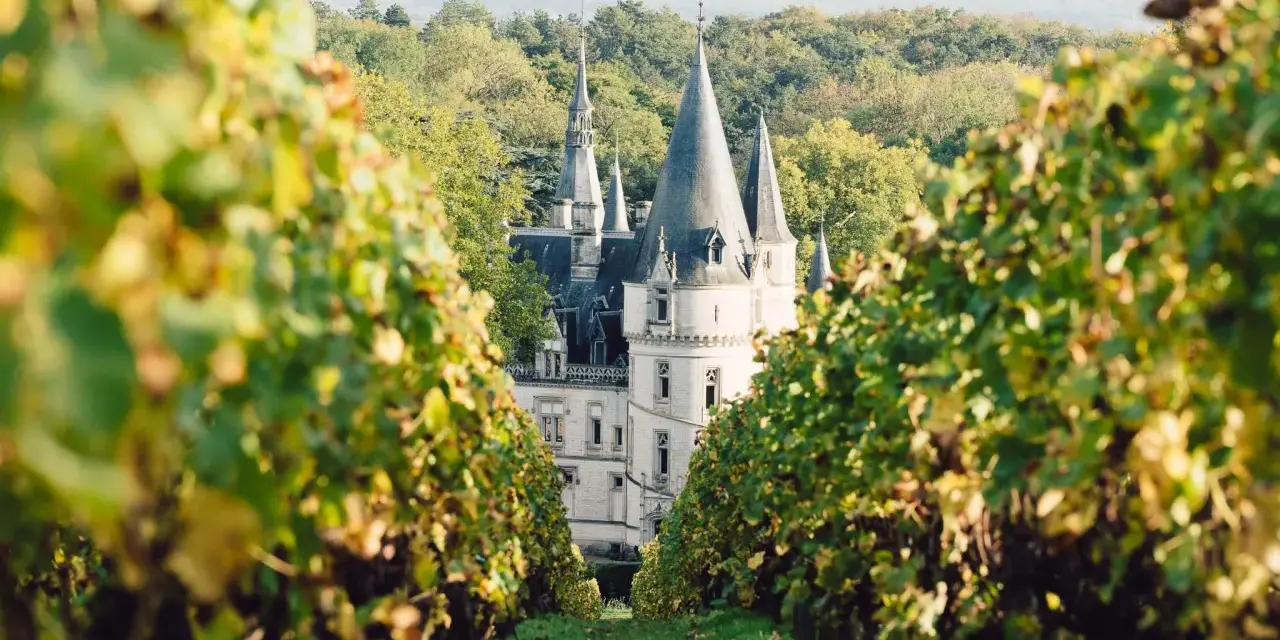 Un château majestueux se dévoile entre les vignes, invitant à visiter Reims à pied.