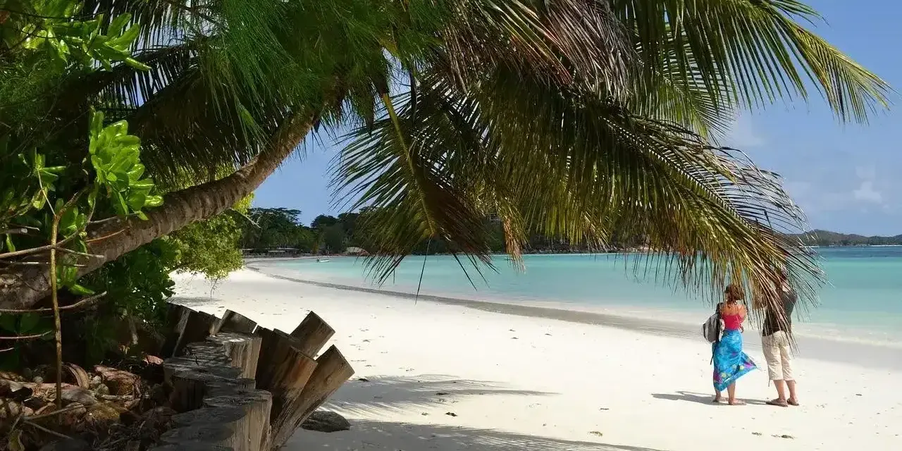 Rajska plaża, palmy, turkusowa woda – tak właśnie wyglądają Seszele. Dwie osoby pod palmą podziwiają widok.