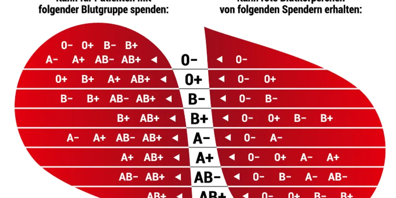 Blutgruppe 0 positiv ist ein universeller Spender. Die Tabelle zeigt, wer von wem Blut erhalten kann.