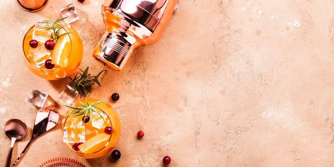 Zwei erfrischende Cocktails mit Orange, Beeren und Rosmarin, dazu ein Shaker. Wer denkt bei diesem Anblick an Wodka Kalorien?