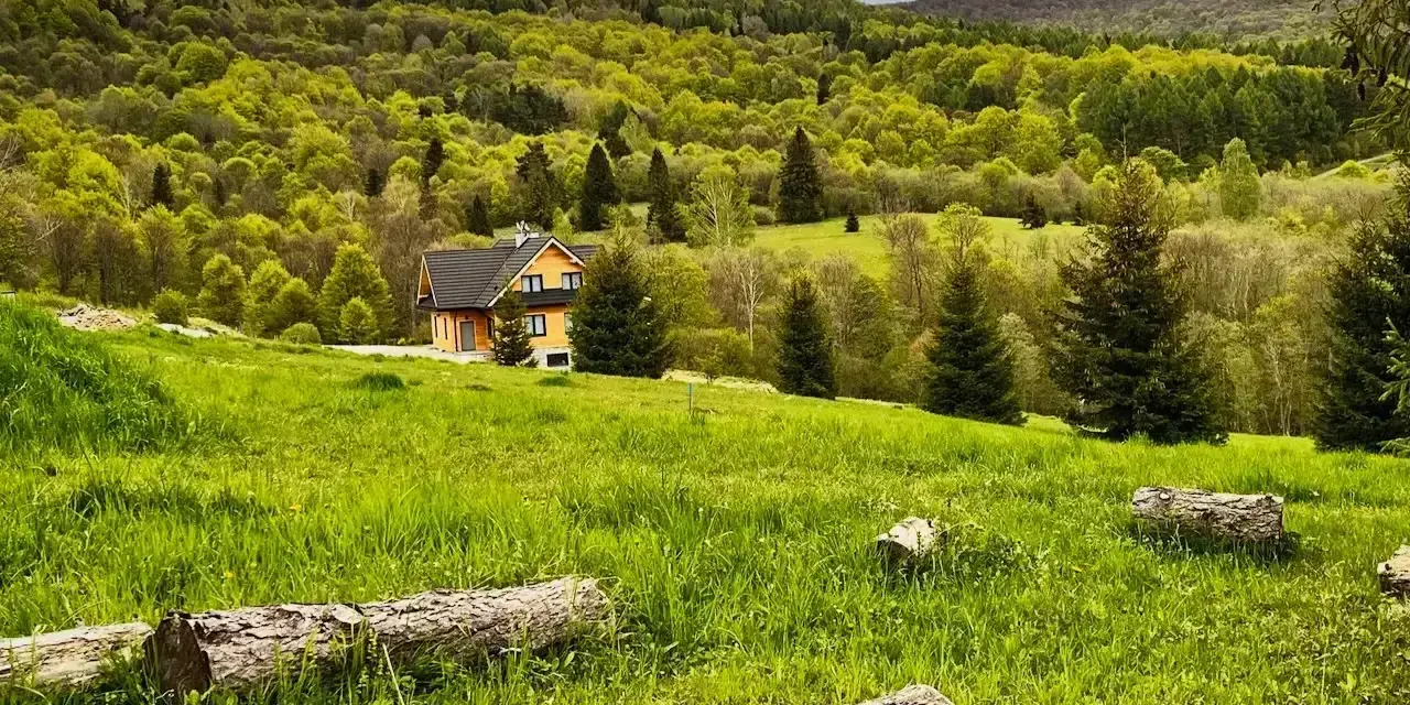 Zielony, pagórkowaty krajobraz Bieszczad z drewnianym domkiem i lasem w tle. Idealne miejsce na podróż pociągiem w Bieszczady.