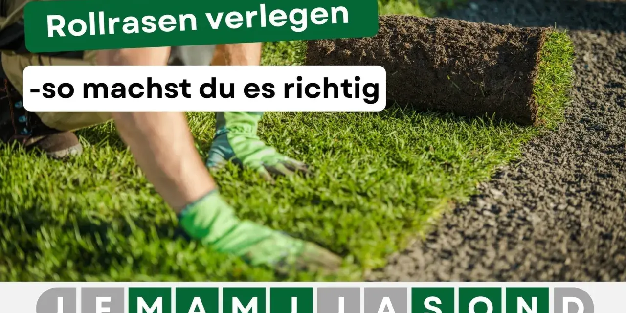 Rollrasen verlegen: Hände mit Handschuhen legen eine Rasenrolle auf vorbereiteten Boden. So machst du es richtig!