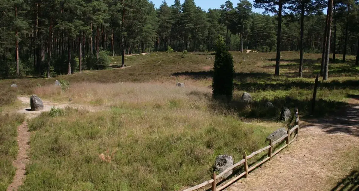 Kamienne kręgi, niczym polskie Stonehenge, otoczone lasem i wrzosowiskiem.