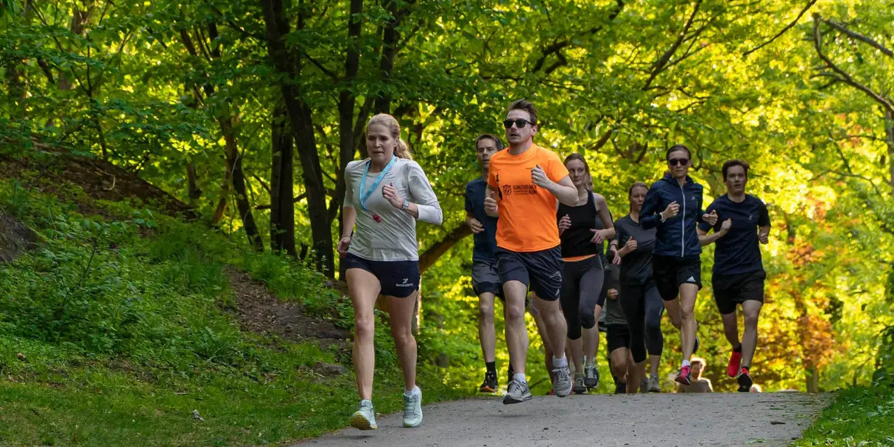 En grupp löpare tränar för en marathon distans i en grönskande park.