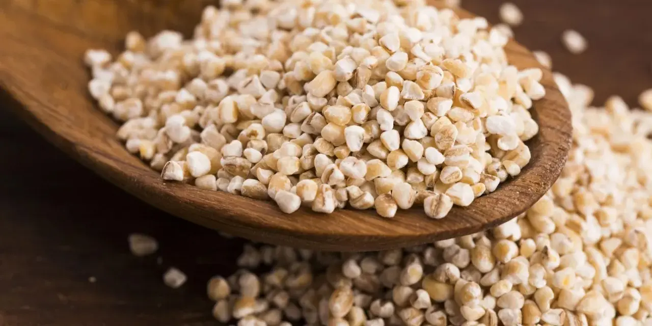 Kasza jęczmienna na drewnianej łyżce. Czy kasza jęczmienna ma gluten? Tak, jęczmień zawiera gluten.