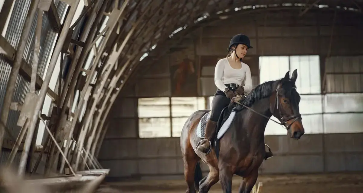 Une cavalière en tenue d'équitation monte un cheval brun dans un manège couvert. Le cheval est au trot, prêt pour une séance de demi pension cheval.