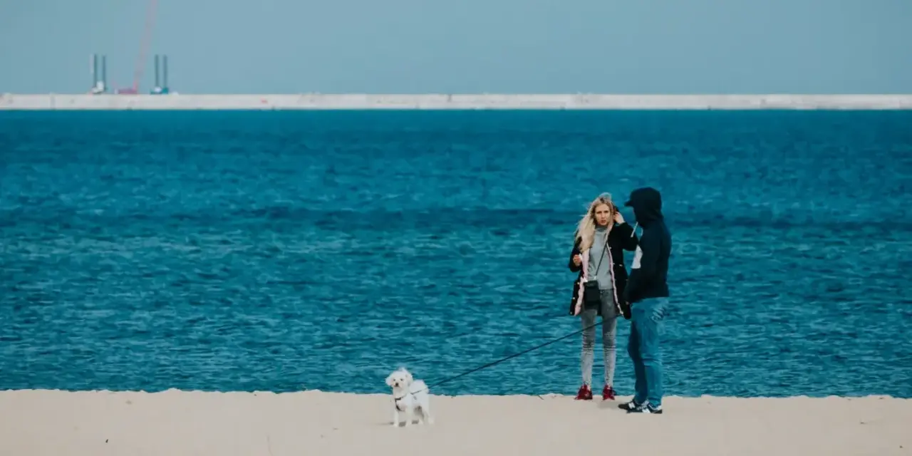 Gdańsk: Z centrum na plażę jak szybko i wygodnie?