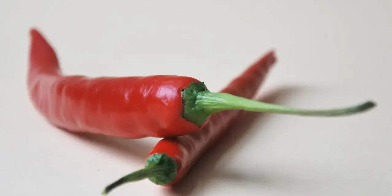 Dos chiles rojos brillantes con tallos verdes sobre fondo claro.