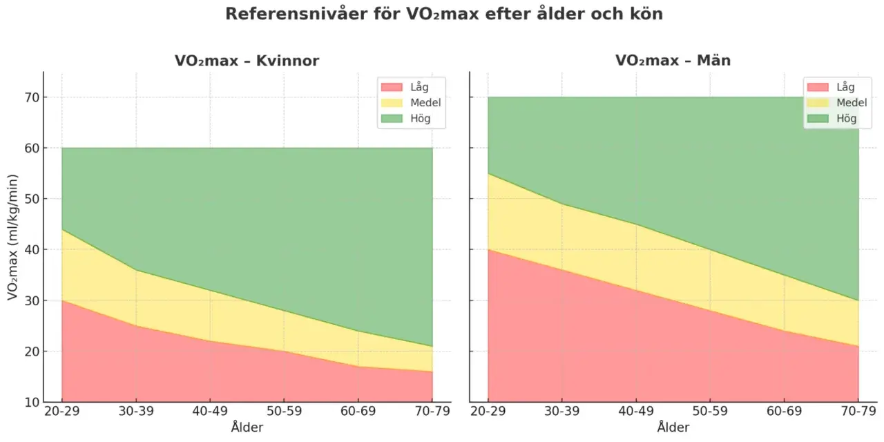 Vo2 max tabell visar referensnivåer för kvinnor och män uppdelat på ålder och konditionsnivå (låg, medel, hög).