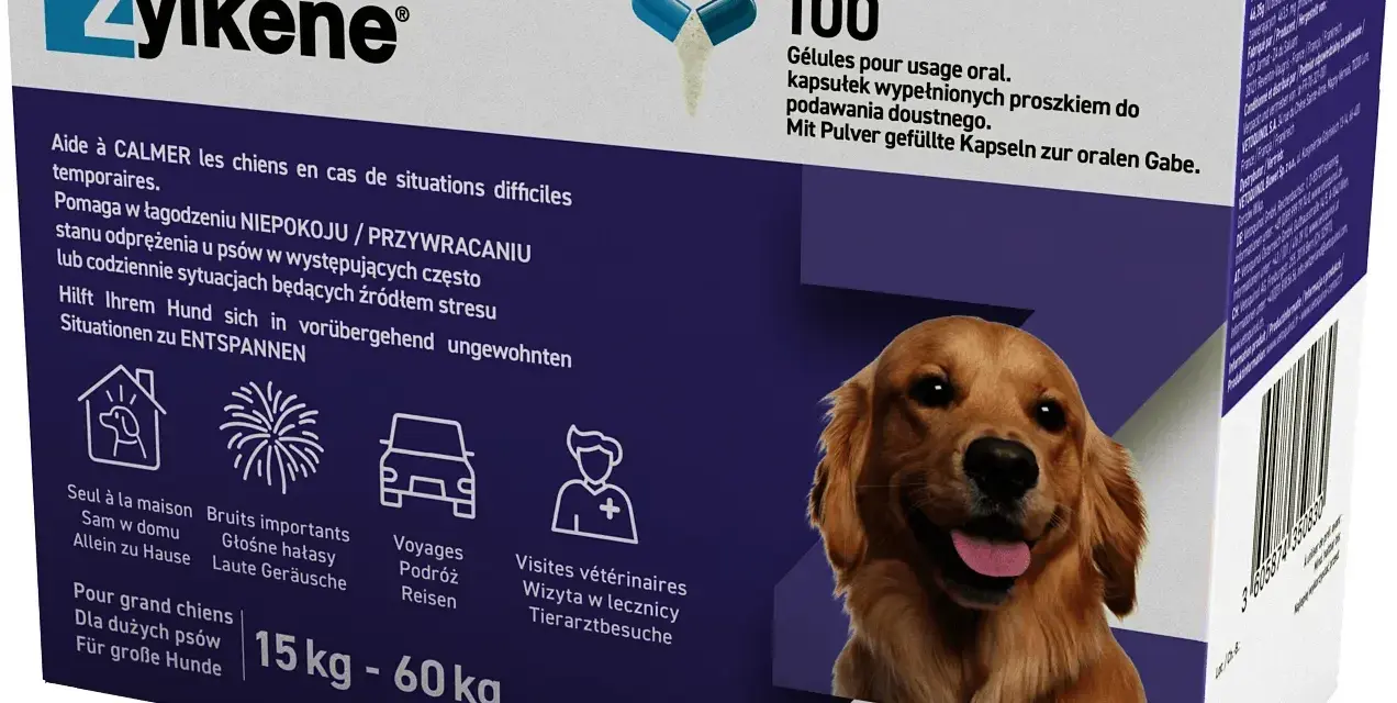 Najlepsze leki na uspokojenie dla psa - naturalne i farmaceutyczne opcje