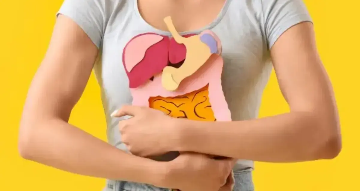 Model przedstawia wycięty z papieru układ trawienny, symbolizujący potencjalne choroby jelit.