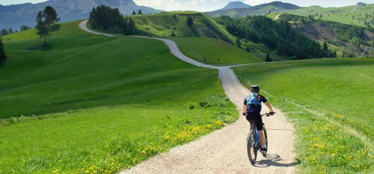 Rowerzysta przemierza malowniczą dolnośląską krainę rowerową, wijącą się wśród zielonych wzgórz i kwiecistych łąk.
