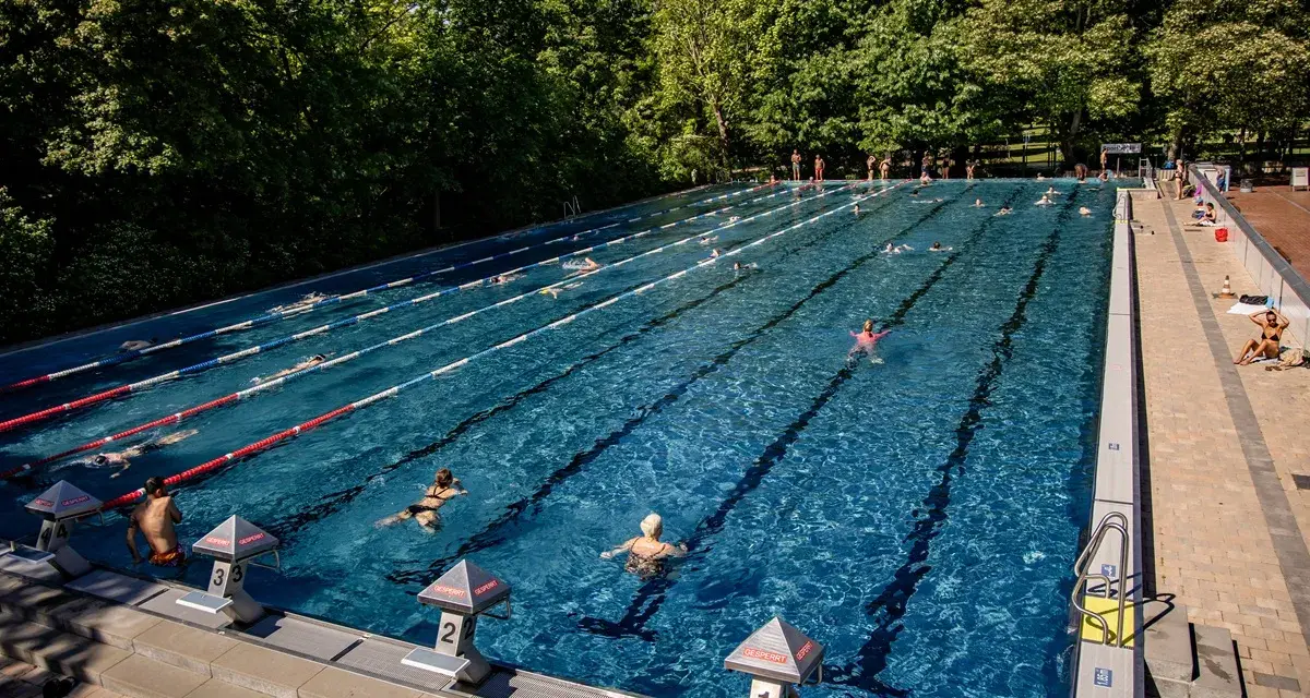 Ein sonniger Tag im Freibad Berlin. Menschen schwimmen in den Bahnen, andere entspannen sich am Beckenrand.
