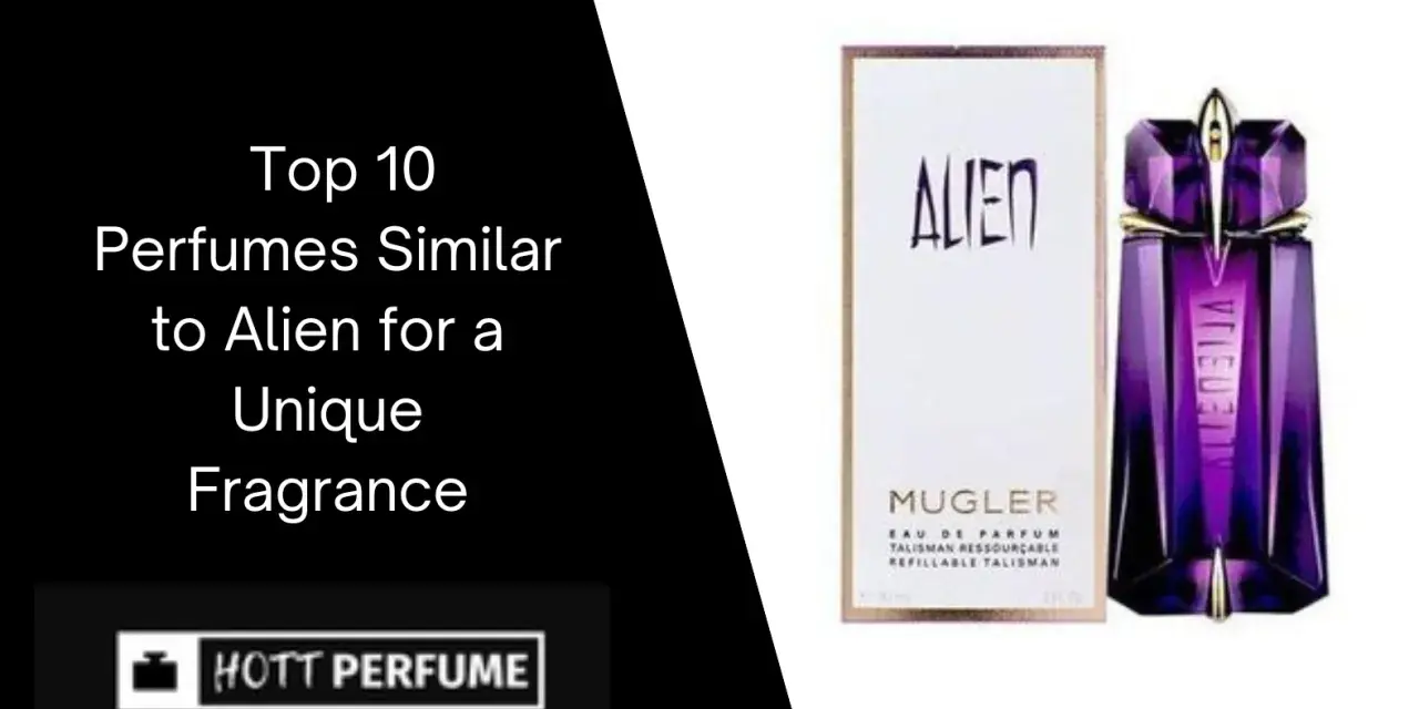 Alien Duftalternativen finden: Die besten Dupes & ähnliche Düfte