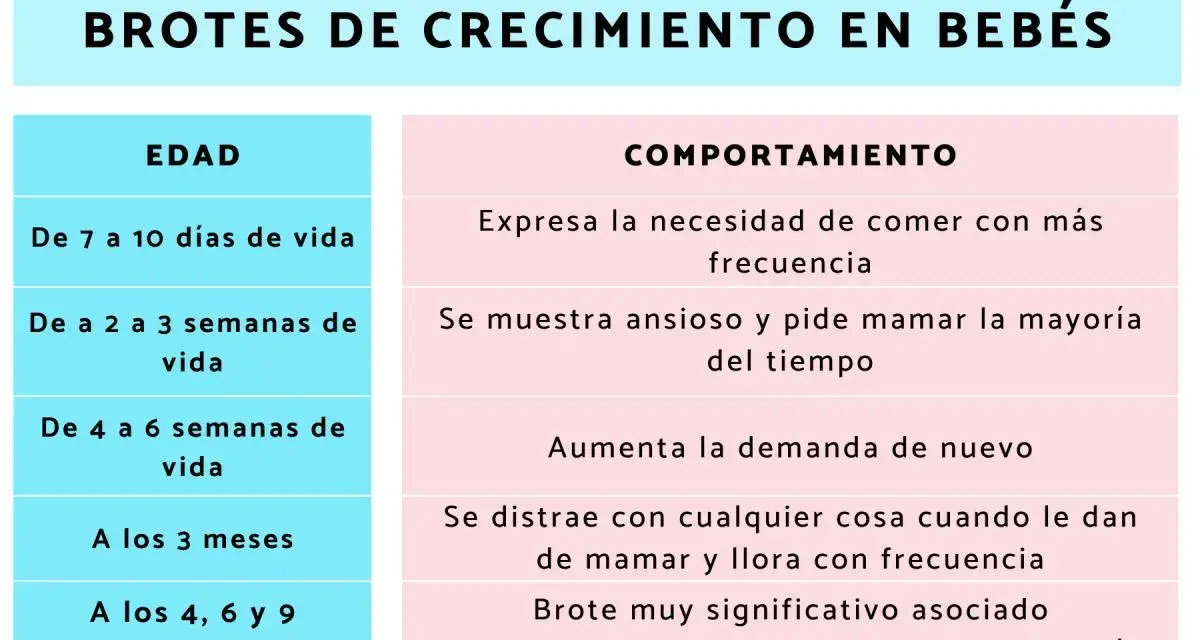 Tabla sobre brotes de crecimiento en bebés. Detalla edad y comportamiento, útil para padres que usan leche de fórmula.