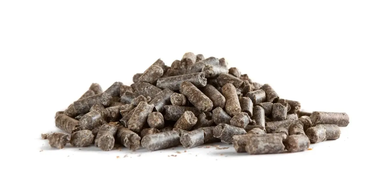 Un tas de pulpe de betterave cheval, des granulés sombres et secs, prêts à être distribués.