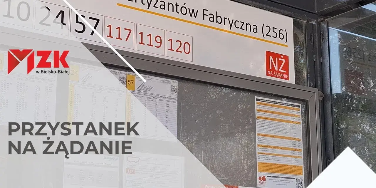 Skąd odjeżdża autobus Auchan Bielsko? Sprawdź najbliższe przystanki