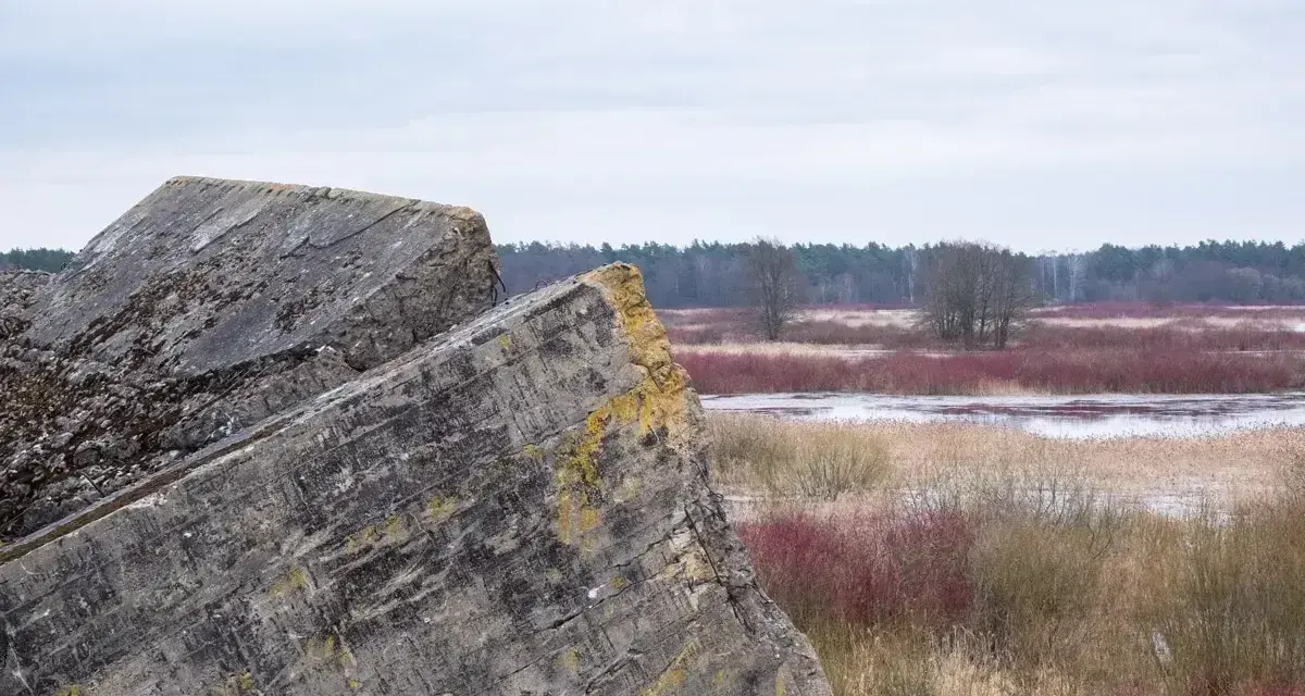 Betonowe pozostałości bunkrów w **Osowiec** na tle mokradeł i lasu.