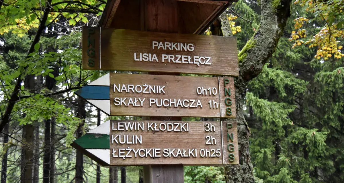 Drewniany drogowskaz na leśnej ścieżce. Wskazuje parking Lisia Przełęcz oraz kierunki do Narożnika, Skał Puchacza, Lewina Kłodzkiego, Kulin i Łężyckich Skałek.