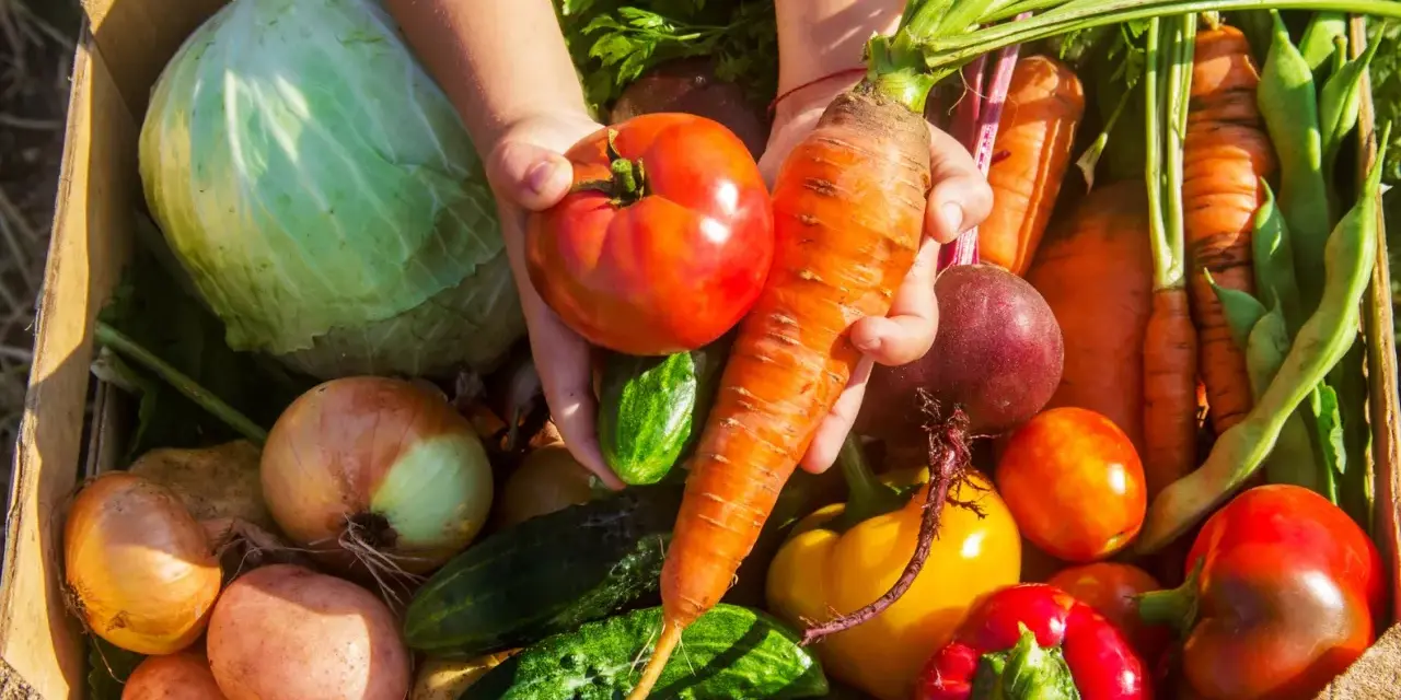 Cesto pieno di verdure di stagione di maggio: pomodori, carote, cavoli, cipolle, patate, peperoni, cetrioli e fagiolini.