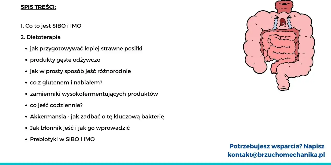 Ilustracja przedstawia jelita, które mogą być powiązane z **sibo przyczyny**. Spis treści omawia dietoterapię i sposoby radzenia sobie z problemami jelitowymi.