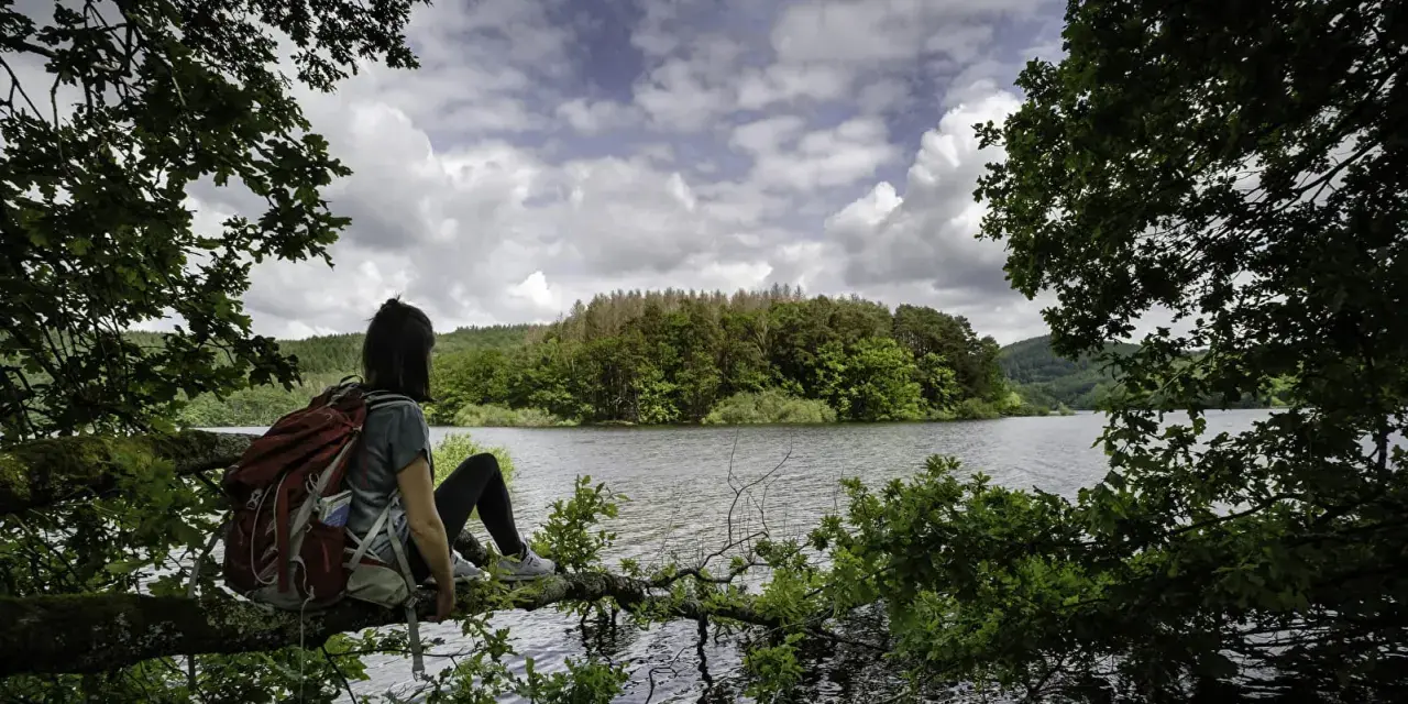 Une randonnée dans le Morvan, une pause sur une branche surplombant le lac. Paysage verdoyant sous un ciel nuageux.
