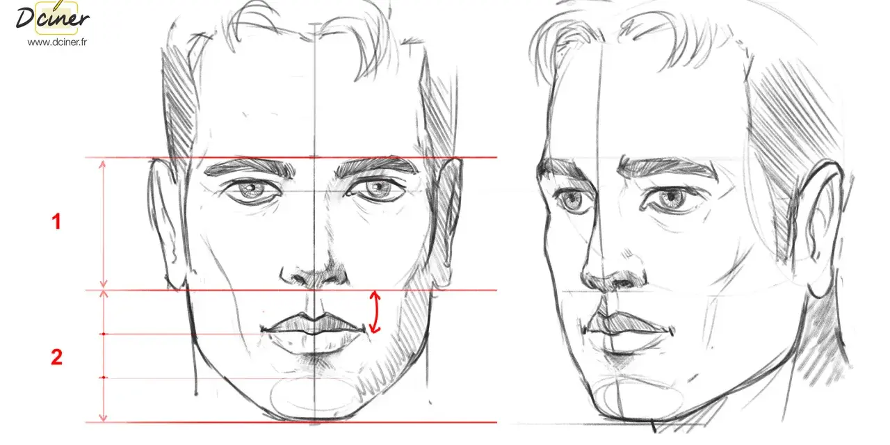 Dessin visage garçon, étude des proportions faciales avec lignes directrices et mesures.