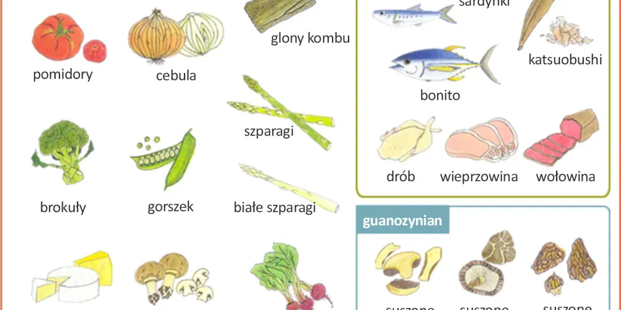 Ilustracja pokazuje produkty bogate w glutaminian, inozynian i guanozynian, które nadają potrawom smak umami.