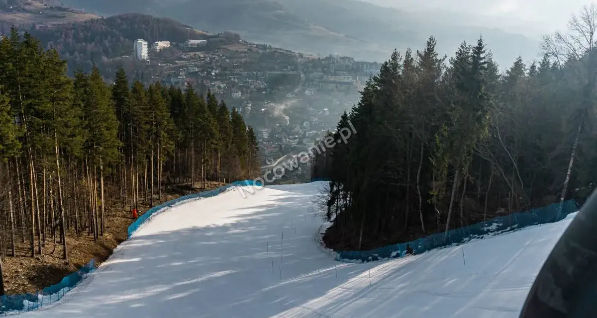 Szczawnica na narty 2026: PKL Palenica, ceny, trasy czy warto?