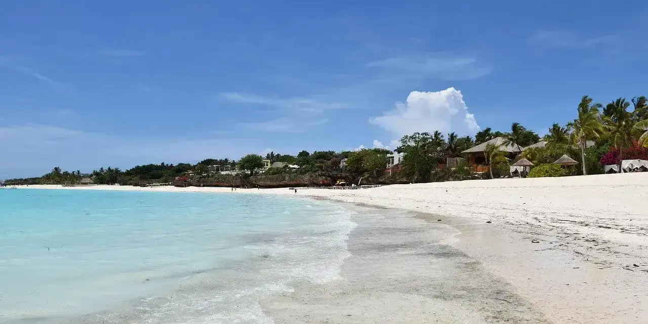 Rajskie zanzibar wakacje: biały piasek, turkusowa woda i palmy. Idealne miejsce na relaks.