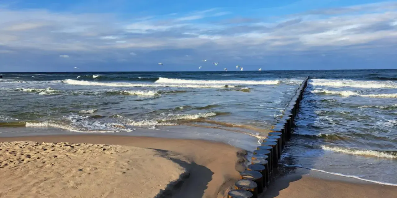 Pociągiem nad morze! Piękny dzień, fale rozbijają się o brzeg, a mewy szybują na błękitnym niebie.