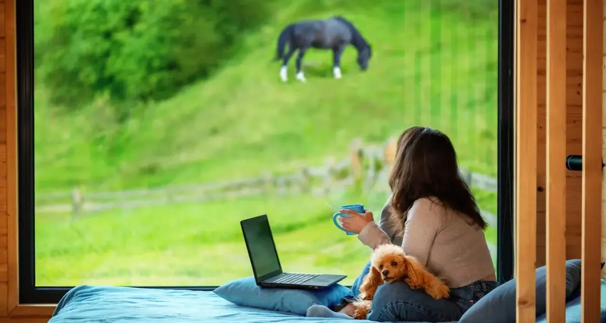 Femme avec un chien et un ordinateur portable, regardant un cheval brouter dans un champ verdoyant. La réglementation cheval sur terrain privé est une préoccupation.