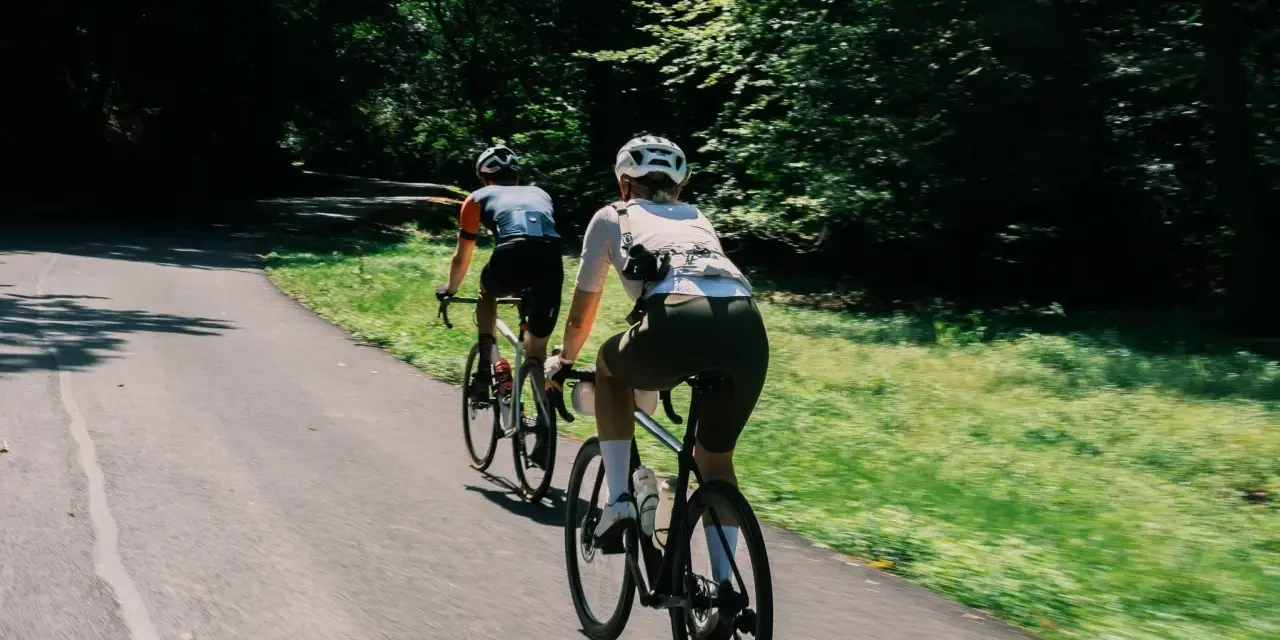 Two cyclists enjoy a scenic road biking adventure through a sun-dappled forest path.