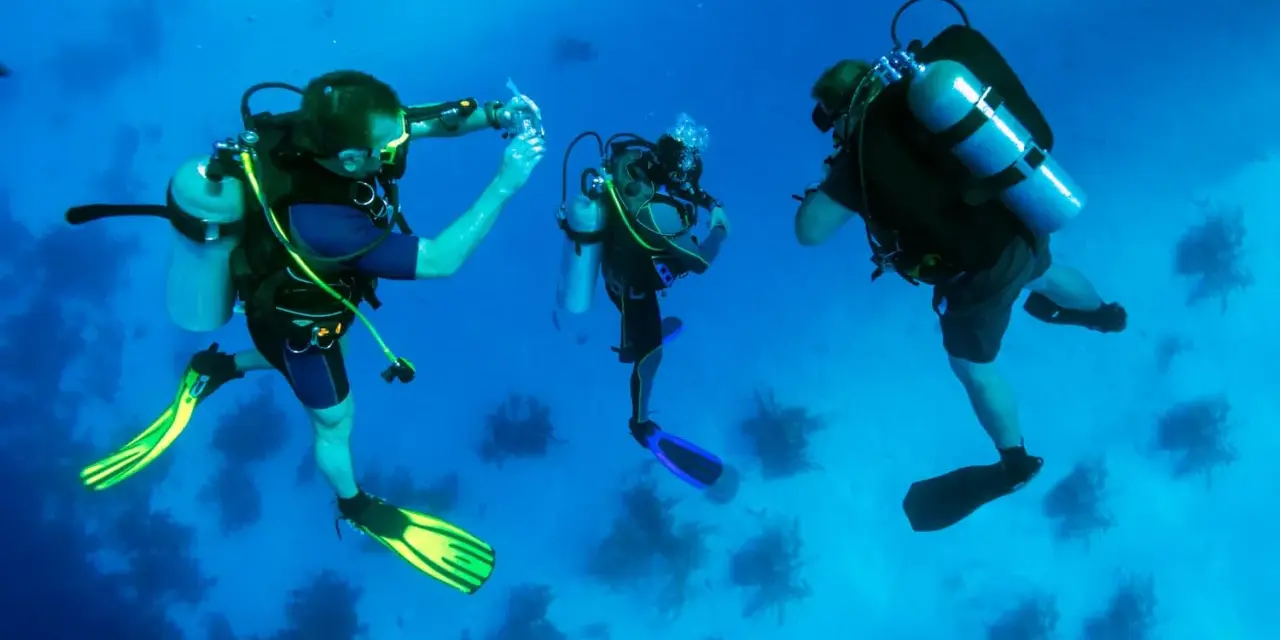 Trois plongeurs explorent les fonds marins, une scène typique d'une colonie de vacances plongée. L'un d'eux semble prendre une photo.