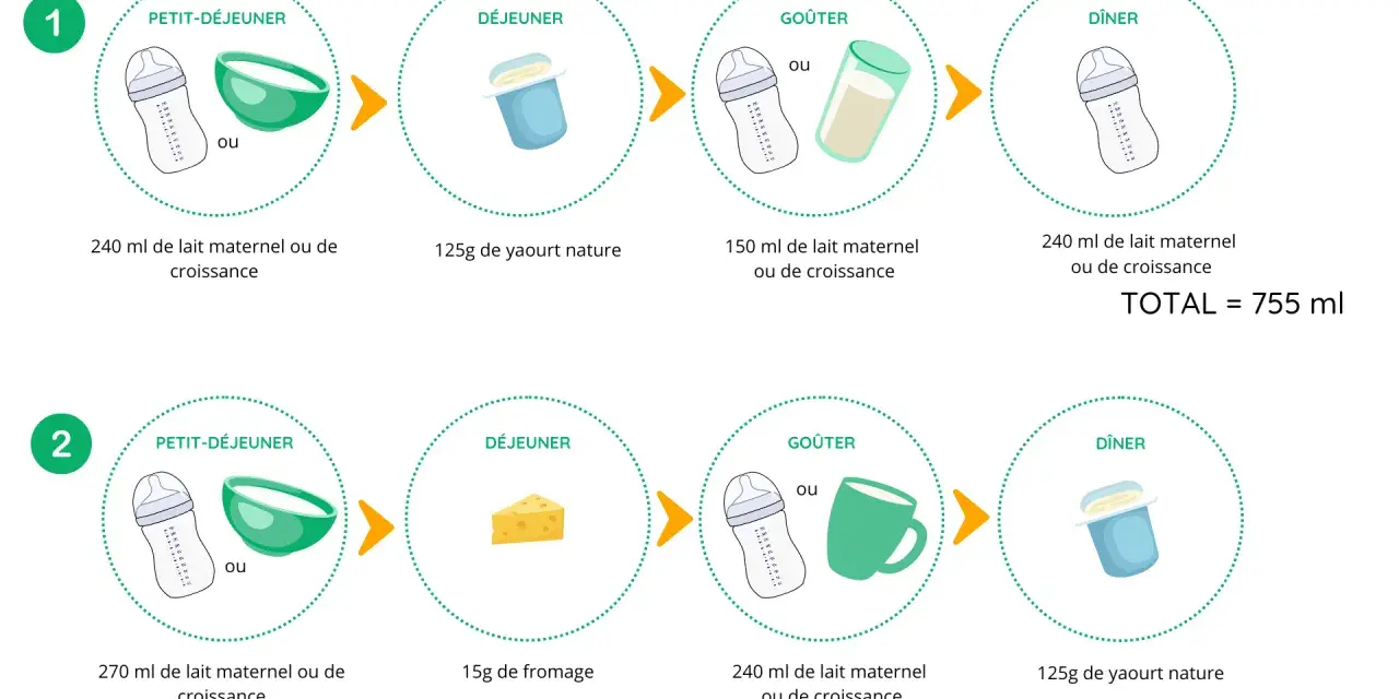 Deux journées types pour bébé : petit-déjeuner, déjeuner, goûter et dîner. On peut y voir du lait maternel ou de croissance, du yaourt, du fromage. Le petit lait est une option pour le petit-déjeuner.